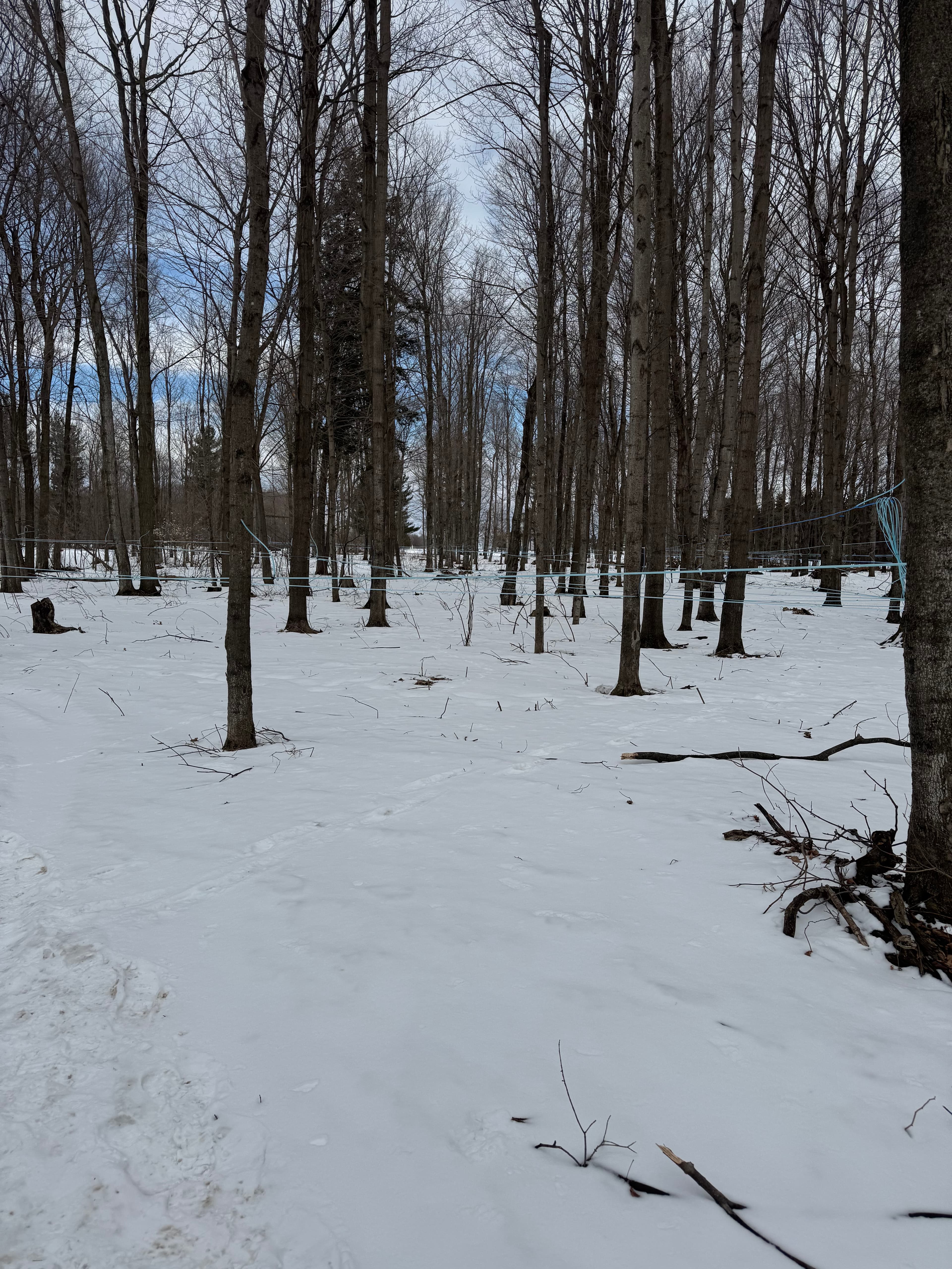 Family boiling maple syrup